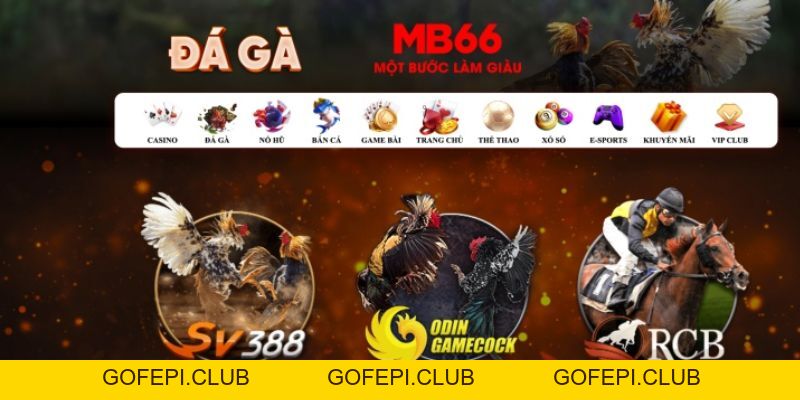 Đá Gà MB66 - Sân Chơi Đỉnh Cao Đầy Chuyên Nghiệp 2026