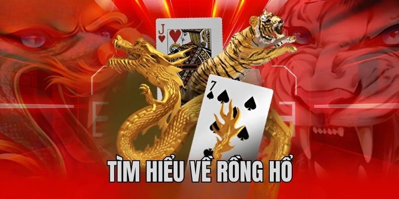 Cách Chơi Rồng Hổ Đỉnh Cao Dành Thắng Đậm Cùng Cao Thủ
