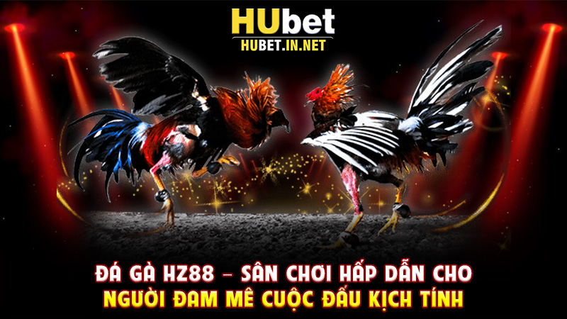 Đá Gà Hz88 – Sân Chơi Hấp Dẫn Cho Người Đam Mê Cuộc Đấu Kịch Tính - Hz88