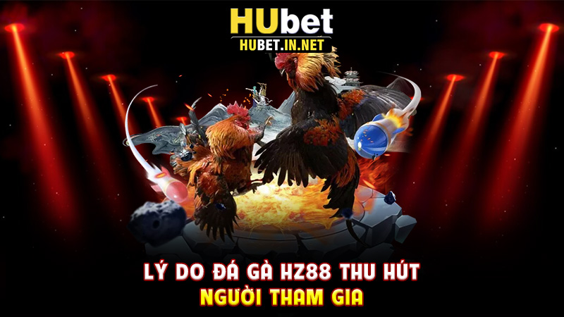 Đá Gà Hz88 – Sân Chơi Hấp Dẫn Cho Người Đam Mê Cuộc Đấu Kịch Tính - Hz88