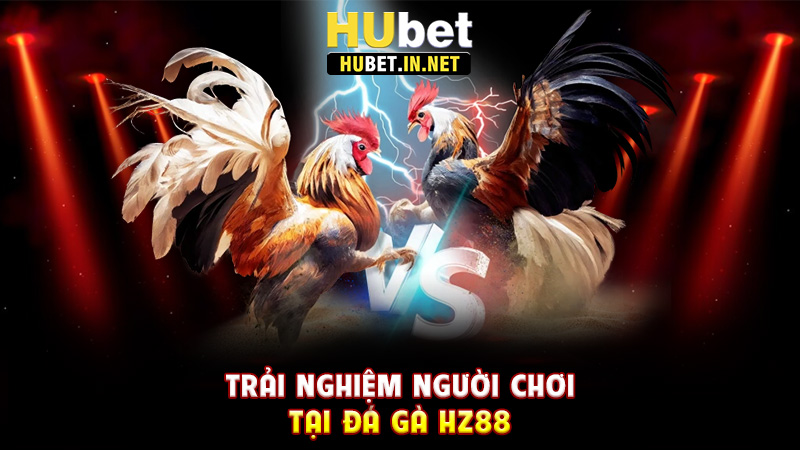 Đá Gà Hz88 – Sân Chơi Hấp Dẫn Cho Người Đam Mê Cuộc Đấu Kịch Tính - Hz88